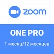 ZOOM One PRO ⭐️ ЗУМ ⭐️ 1 -12 месяцев
