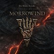 The Elder Scrolls Online SE+MORROWIND STEAM Global 🔑РФ