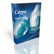 Calypso 1.04 Multicurrency and hedge