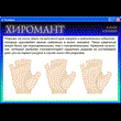 Program palmist. It transcribes all the lines on the hands.