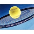 system live-betting on Tennis online.
