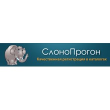 SlonoProgon.ru - refill for 995 rubles (5 sites)