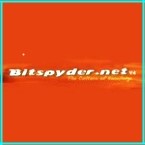 Bitspyder.net invitation - an invite to Bitspyder.net