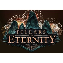 ✅ Pillars of Eternity Champion Edition STEAM KEY RU+СНГ