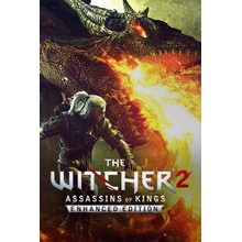 The Witcher 2 Assassins of Kings Enhanced Edition GOG💎