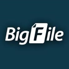Bigfile.to 30 Days Premium Account