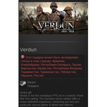 Verdun (Steam Gift RU + CIS)