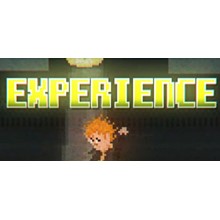 Experience ( Steam Key / Region Free ) GLOBAL ROW