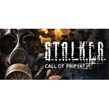 S.T.A.L.K.E.R. (STALKER): CALL OF PRIPYAT (STEAM/НЕ РФ)
