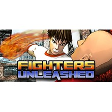 Fighters Unleashed (Steam ключ) Region Free