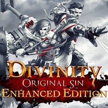 Divinity: Original Sin Enhanced Edition +EMAIL (GLOBAL)