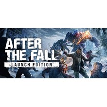 After the Fall Launch Edition💳Steam Global offline