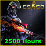 CS:GO • Two Accounts •2500+ hours• Full access • +Mail