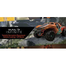 Halo Infinite - Tasteful Sensation Vehicle Coating XBOX