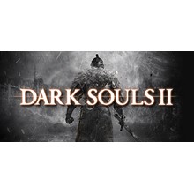 Dark Souls II - Season Pass (PC) (steam) (RU / CIS)