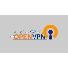 файл активации профиля OPEN VPN со скоростью 1гб/с