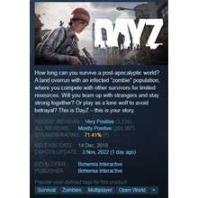 DayZ (Steam Key GLOBAL)