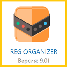 Reg Organizer 9.01 License key