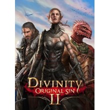 Divinity: Original Sin 2  | Steam*RU 🚀AUTO-DELIVERY 💳