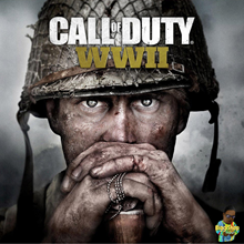 Call of Duty: WWII steam key RU - irongamers.ru