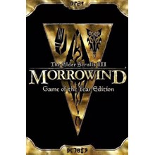 🔥 The Elder Scrolls 3 III Morrowind GOTY STEAM КЛЮЧ RU