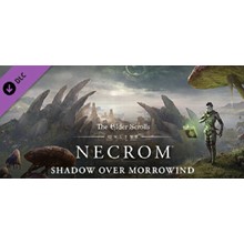 ⭐️TESO Deluxe Upgrade Necrom ✅ STEAM