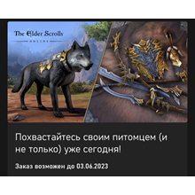 Elders scrolls online набор "убийца драконов №2" XBOX
