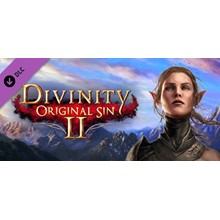 Divinity: Original Sin 2 - Divine Ascension🔸STEAM RU⚡️