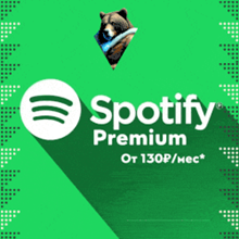 Spotify 4 Months Premium (Subscription)✈