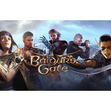 Baldur's Gate 3 плюс и длс Общий аккаунт + 2 игры