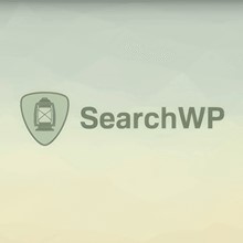 SearchWP [4.3.9] - Русификация плагина 💜🔥