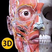Анатомия - 3D Атлас Full Version ✅ Microsoft Store