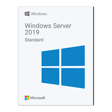 Windows Server 2019 Standard Online Key