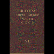 Flora of the European part of the USSR. 7. T. Ed. Tsvelev
