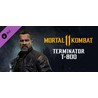 Mortal Kombat 11 - Terminator T-800 [Steam RU]